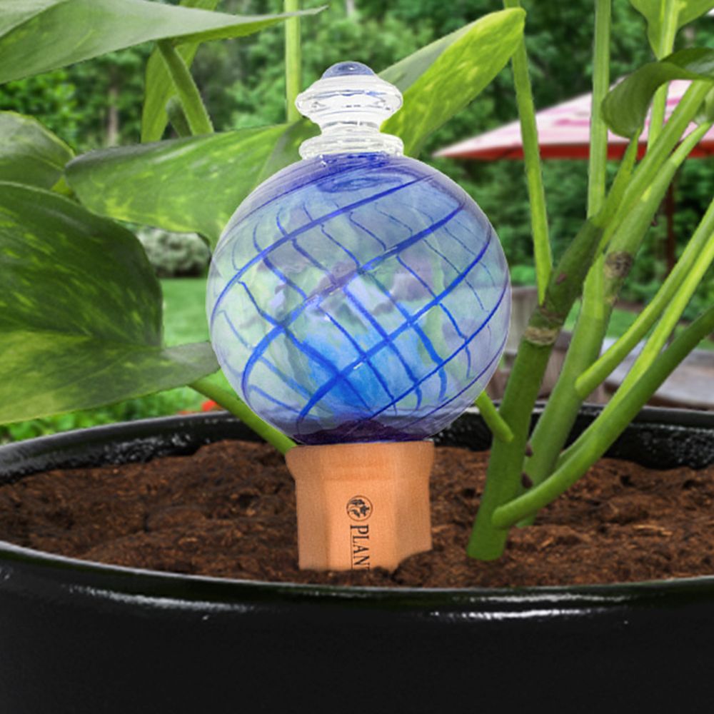 Plant Nanny Spiral Watering Globe 12 oz. Blue